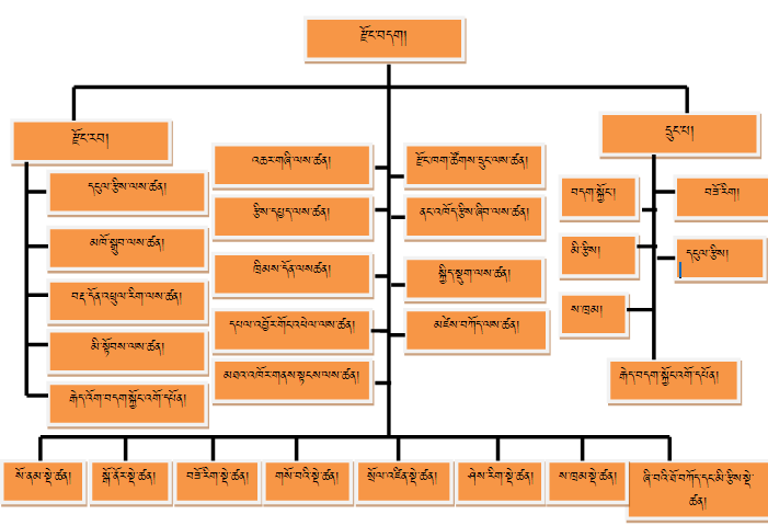 organogram dzo